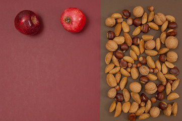 Organic autumn fruits and nuts setting isolated on split backgro