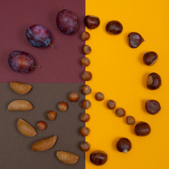 Peace symbol of nuts and autumn fruits on split background