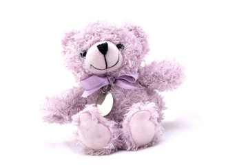 soft toy teddy bear on white background.