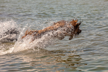 Fototapeta premium Badespaß