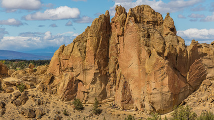 Lonely tree growing between rocks.The sheer rock walls.  Beautiful landscape of yellow sharp cliffs. Smith Rock state park, Oregon