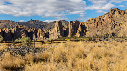 The sheer rock walls. Beautiful landscape of yellow sharp cliffs. Dry yellow grass grows at the foot of the rocks. Smith Rock state park, Oregon