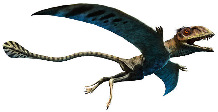 Pterosauria from the Triassic era 3D illustration