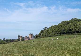 View to Wells Cathedral