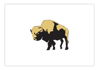 bull, buffalo, mammals, animal