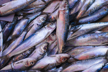 Fototapeta premium Fresh sardines fish in local market