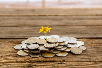 successful investment