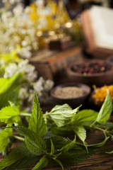 Herbal medicine and book on wooden table background