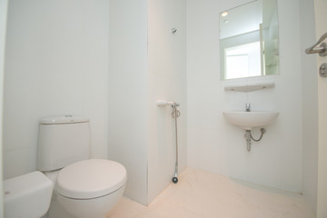 Fototapeta na wymiar Beautiful Toilet in Luxury Home