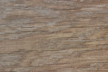 Naklejka premium gray wood texture background