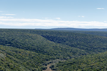 Ndlovu Lookout - Addo Landscape