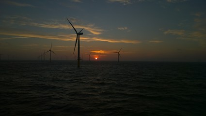 Obraz premium Windfarm 