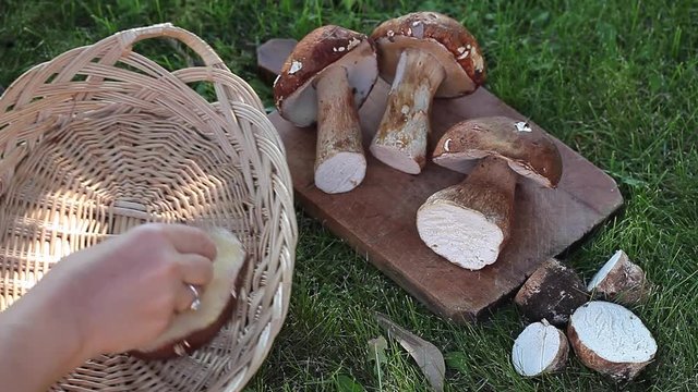 Woman picking up mushrooms from wooden board and put them in a basket.