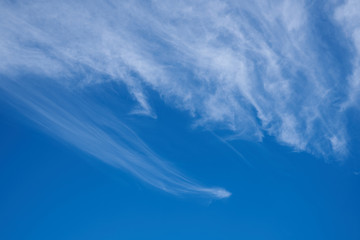 he beautiful blue sky cirrus clouds - obrazy, fototapety, plakaty