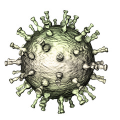 Fototapeta premium Varicella zoster or chickenpox virus, 3D illustration. A herpes virus which cause chickenpox and shignles