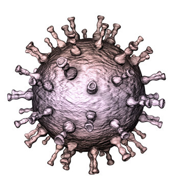 Varicella zoster or chickenpox virus, 3D illustration. A herpes virus which cause chickenpox and shignles