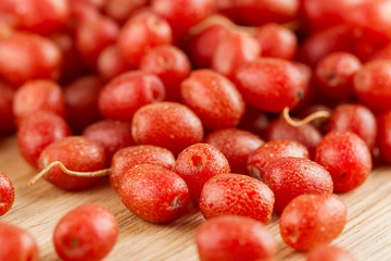 Red berries - Elaeagnus multiflora