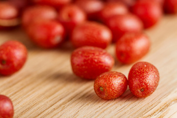 Red berries - Elaeagnus multiflora