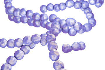 Bacteria Streptococcus, gram-positive spherical bacteria isolated on white background. 3D illustration