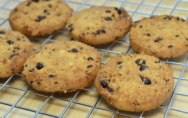 Delicious homemade chocolate chips cookies from oven