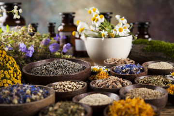 Fototapeta na wymiar Healing herbs on wooden table, mortar and herbal medicine