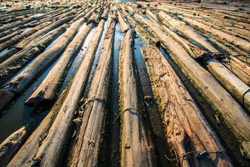 Pile of wood be immersed in water