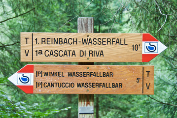 Segnaletica nel bosco