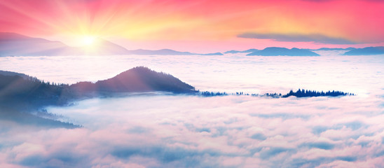 misty sea Carpathians