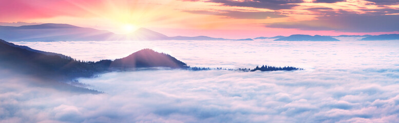 misty sea Carpathians