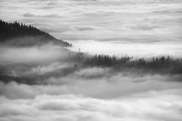 misty sea Carpathians
