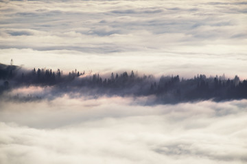 misty sea Carpathians