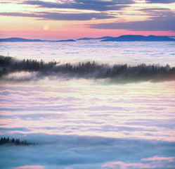 misty sea Carpathians