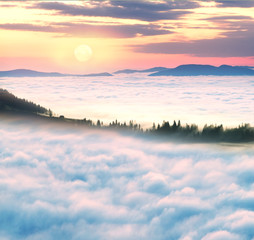 misty sea Carpathians