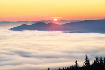 Obraz premium Foggy sunrise in the Carpathian mountains