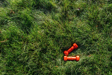 red dumbbell on green grass - 122342743