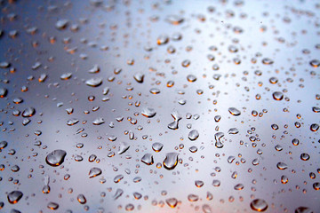 Drops of rain with a slight backlit