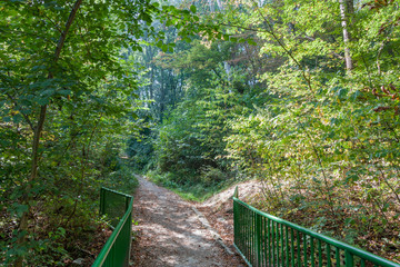Green Bridge in Fores