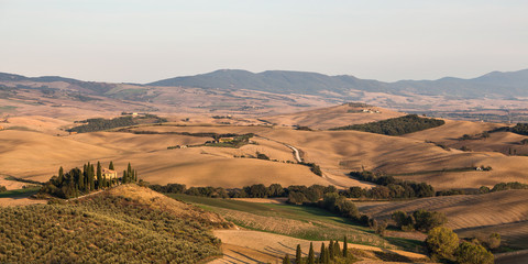 Fototapeta na wymiar typische Landschaft in der Toskana, Italien