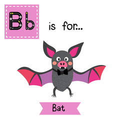 B letter tracing. Flying colorful Bat with bow. Cute children zoo alphabet flash card. Funny cartoon animal. Kids abc education. Learning English vocabulary. Vector illustration.