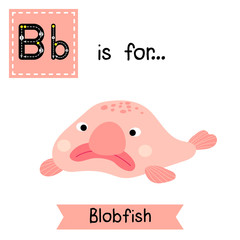 B letter tracing. Pink deep sea Blobfish. Cute children zoo alphabet flash card. Funny cartoon animal. Kids abc education. Learning English vocabulary. Vector illustration.