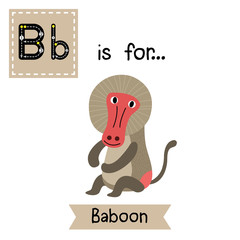 B letter tracing. Sitting Baboon. Cute children zoo alphabet flash card. Funny cartoon animal. Kids abc education. Learning English vocabulary. Vector illustration.