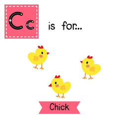 C letter tracing. Happy Chick. Cute children zoo alphabet flash card. Funny cartoon animal. Kids abc education. Learning English vocabulary. Vector illustration.