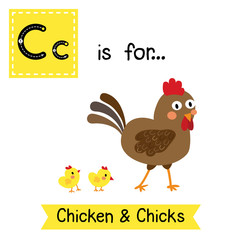 C letter tracing. Chicken & Chicks. Cute children zoo alphabet flash card. Funny cartoon animal. Kids abc education. Learning English vocabulary. Vector illustration.