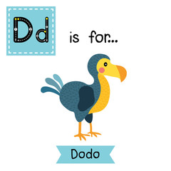 D letter tracing. Dodo bird. Cute children zoo alphabet flash card. Funny cartoon animal. Kids abc education. Learning English vocabulary. Vector illustration.