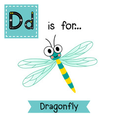 D letter tracing. Dragonfly insect. Cute children zoo alphabet flash card. Funny cartoon animal. Kids abc education. Learning English vocabulary. Vector illustration.
