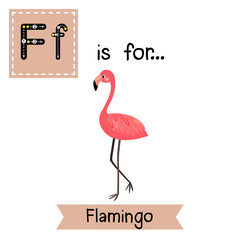 F letter tracing. Standing Flamingo. Cute children zoo alphabet flash card. Funny cartoon animal. Kids abc education. Learning English vocabulary. Vector illustration.