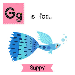 G letter tracing. Blue Guppy fish. Cute children zoo alphabet flash card. Funny cartoon animal. Kids abc education. Learning English vocabulary. Vector illustration.