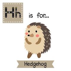 H letter tracing. Hedgehog standing on two legs Cute children zoo alphabet flash card. Funny cartoon animal. Kids abc education. Learning English vocabulary. Vector illustration.