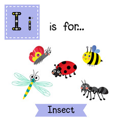 I letter tracing. Insects. Cute children zoo alphabet flash card. Funny cartoon animal. Kids abc education. Learning English vocabulary. Vector illustration.