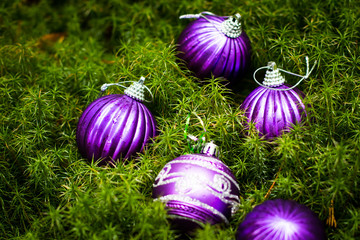 Toys for Christmas and the New year